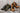 Elevator shoes height increase CALDEN - K289023 - 3.3 Inches Taller (Nubuck Brown) - Super Lightweight